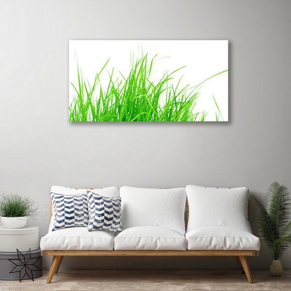 Stampa quadro su tela L'erba La pianta 100x50 cm