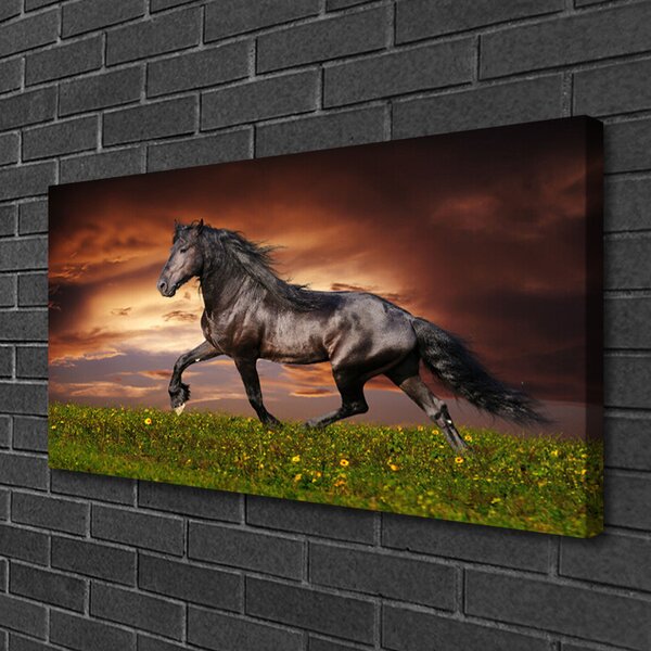 Quadro su tela Animali del prato del cavallo nero 100x50 cm