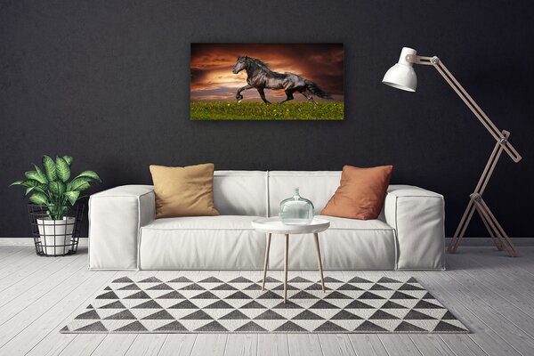 Quadro su tela Animali del prato del cavallo nero 100x50 cm