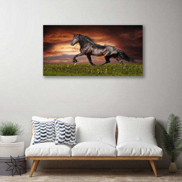 Quadro su tela Animali del prato del cavallo nero 100x50 cm