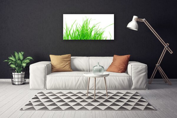 Stampa quadro su tela L'erba La pianta 100x50 cm