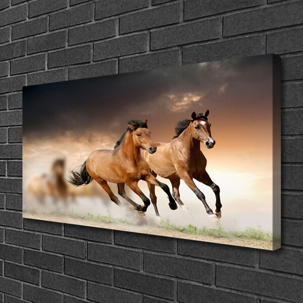 Stampa quadro su tela Animali cavalli 100x50 cm