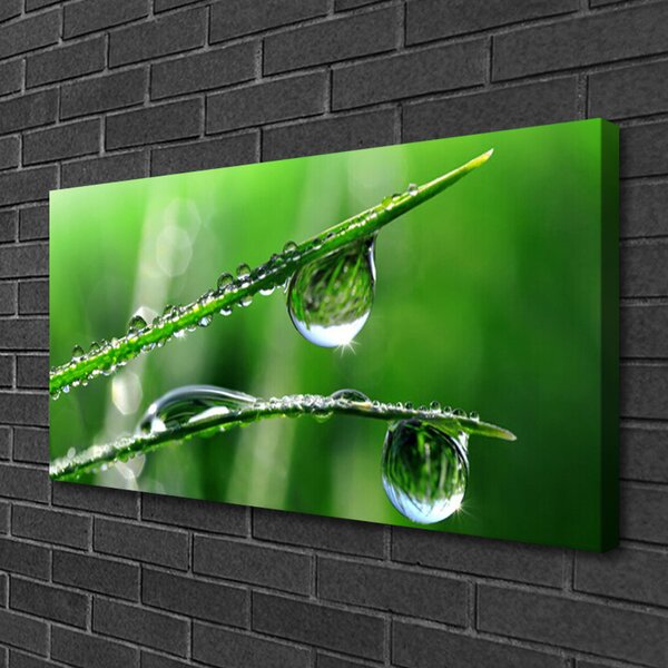 Quadro su tela Gocce di erba rosa 100x50 cm