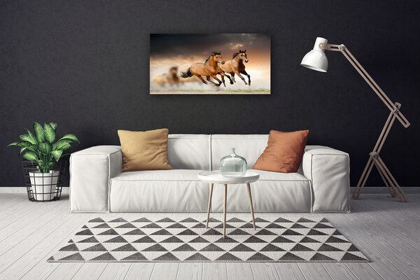 Stampa quadro su tela Animali cavalli 100x50 cm