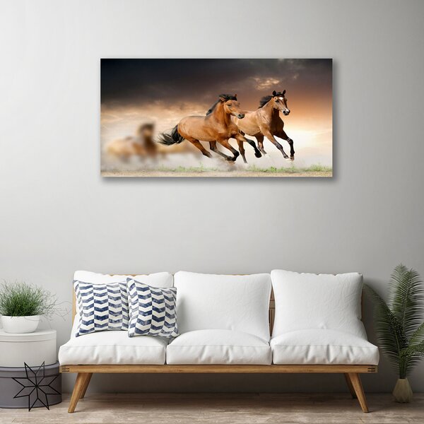 Stampa quadro su tela Animali cavalli 100x50 cm