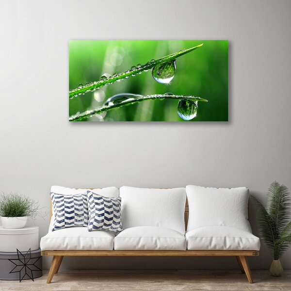Quadro su tela Gocce di erba rosa 100x50 cm
