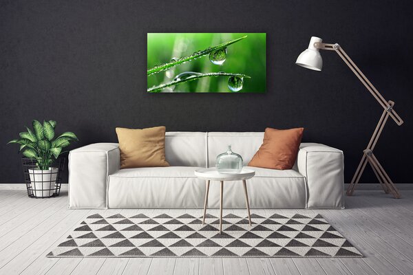 Quadro su tela Gocce di erba rosa 100x50 cm