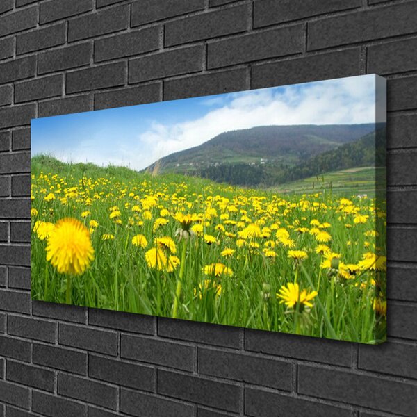 Quadro su tela Natura del dente di leone 100x50 cm