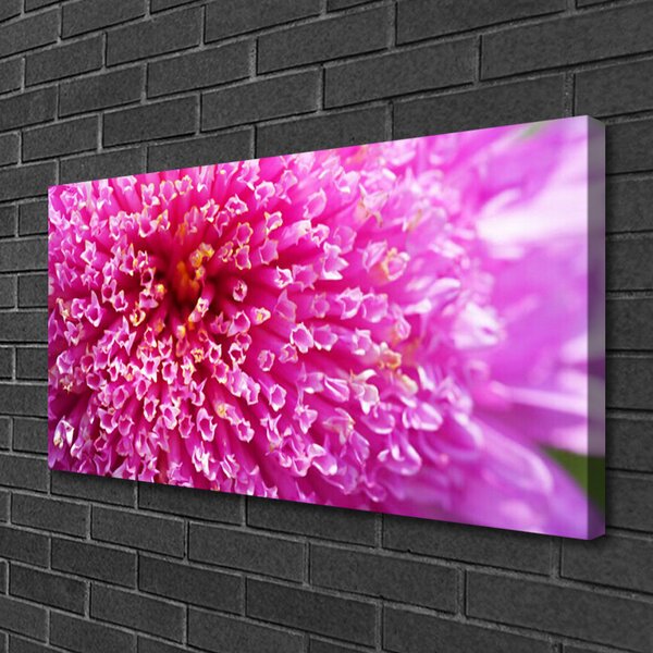 Quadro su tela Fiore Sul Muro 100x50 cm