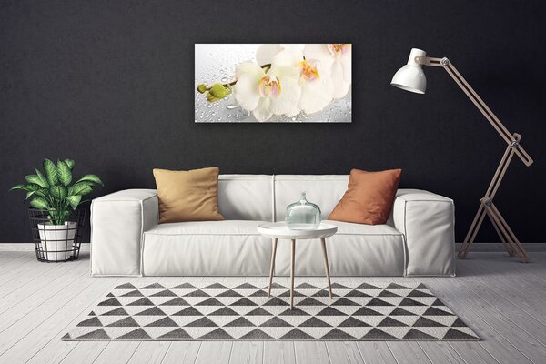 Quadro su tela Fiori Sul Muro 100x50 cm