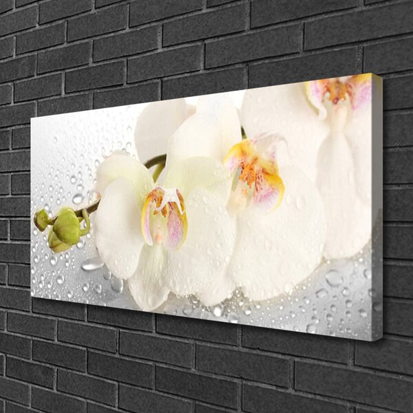 Quadro su tela Fiori Sul Muro 100x50 cm