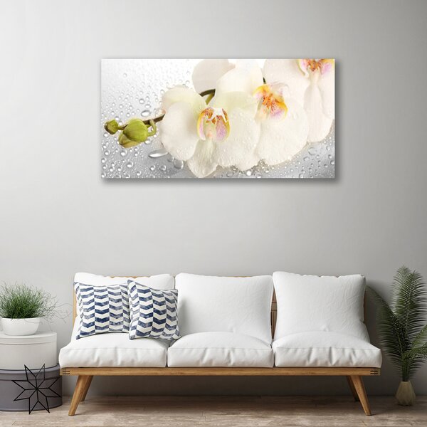 Quadro su tela Fiori Sul Muro 100x50 cm