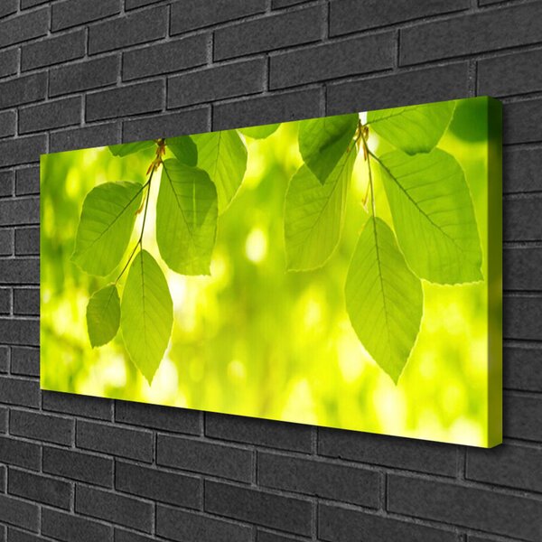 Quadro su tela Foglie Sul Muro 100x50 cm