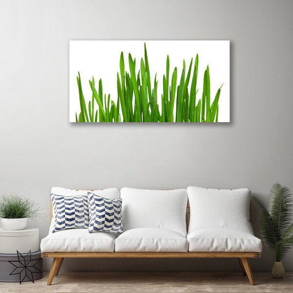 Quadro su tela Erba Sul Muro 100x50 cm
