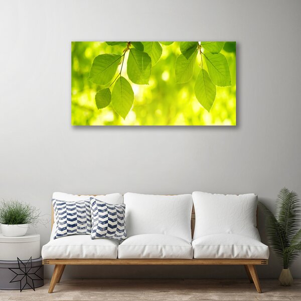 Quadro su tela Foglie Sul Muro 100x50 cm