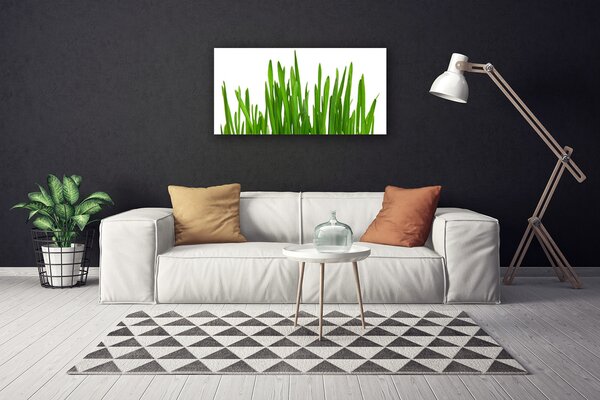 Quadro su tela Erba Sul Muro 100x50 cm