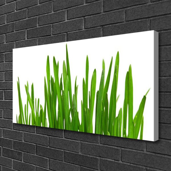 Quadro su tela Erba Sul Muro 100x50 cm