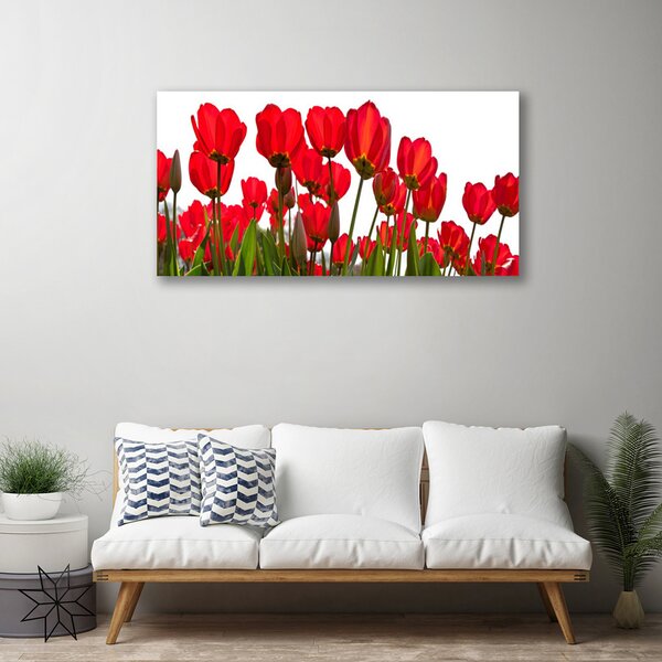 Quadro su tela Fiori Sul Muro 100x50 cm