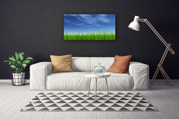 Quadro stampa su tela Cielo, erba, natura 100x50 cm