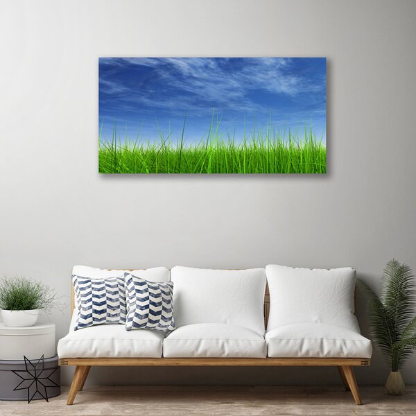 Quadro stampa su tela Cielo, erba, natura 100x50 cm