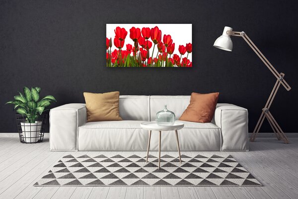 Quadro su tela Fiori Sul Muro 100x50 cm