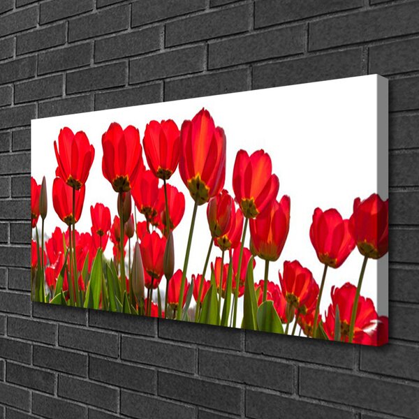 Quadro su tela Fiori Sul Muro 100x50 cm