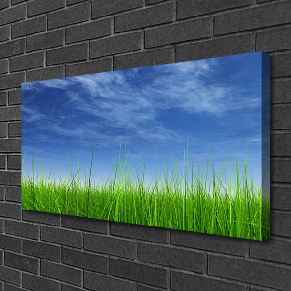 Quadro stampa su tela Cielo, erba, natura 100x50 cm