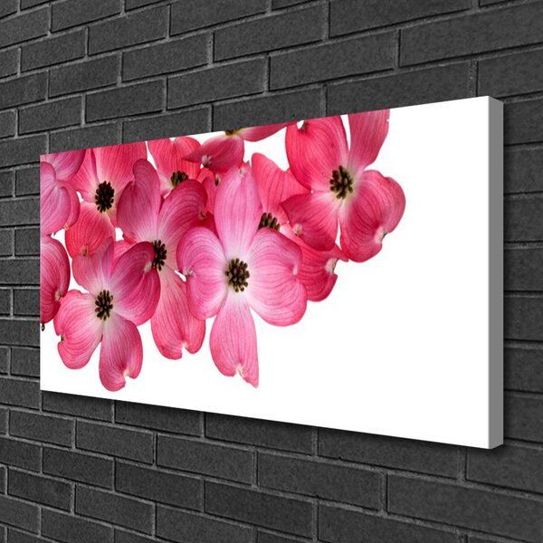Quadro su tela Fiori Sul Muro 100x50 cm