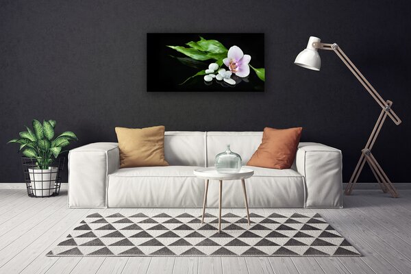 Quadro su tela Foglie di pietre di fiori 100x50 cm