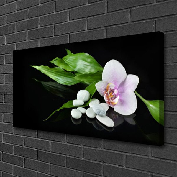 Quadro su tela Foglie di pietre di fiori 100x50 cm