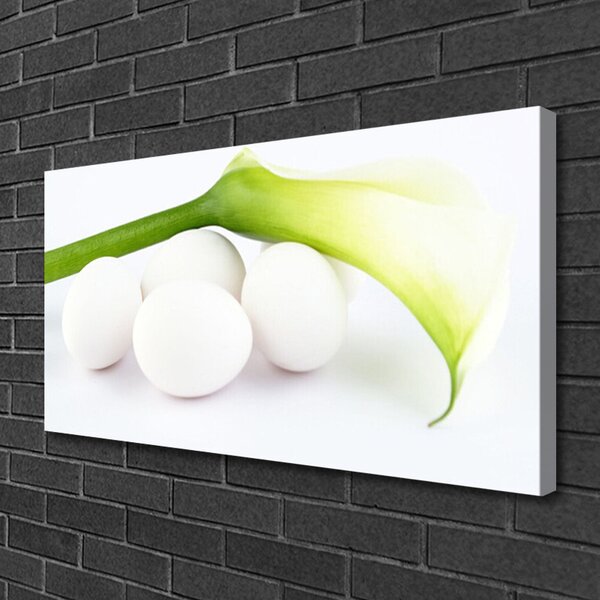 Quadro stampa su tela Uova Sul Muro 100x50 cm