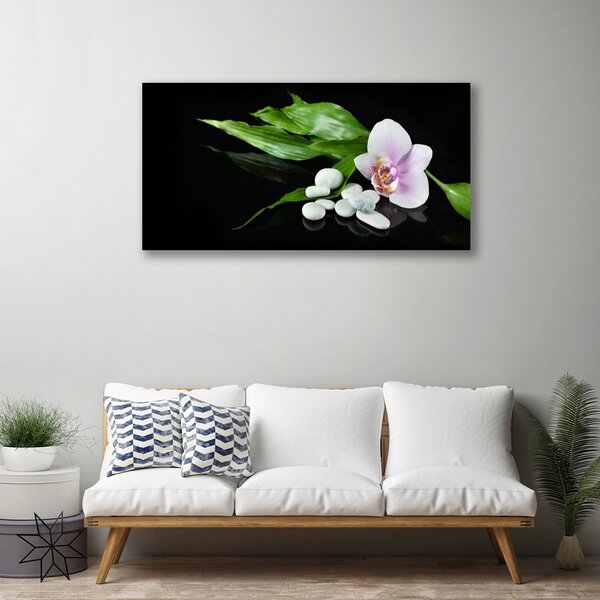 Quadro su tela Foglie di pietre di fiori 100x50 cm