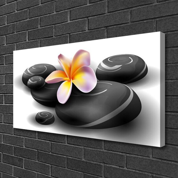 Quadro su tela Natura Pietre Di Fiori 100x50 cm