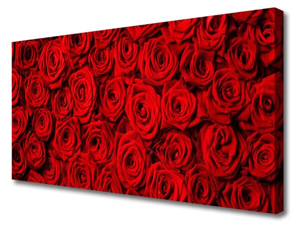 Quadro su tela Rose Sul Muro 100x50 cm