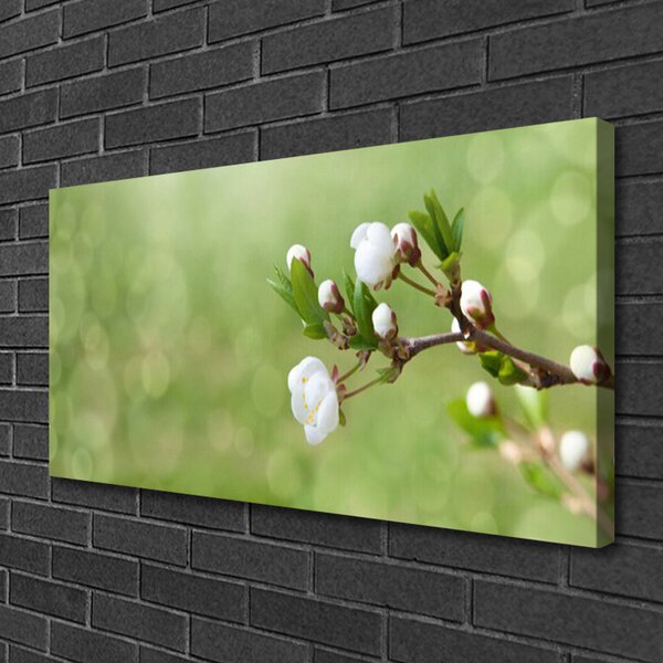 Quadro su tela Fiori Sul Muro 100x50 cm
