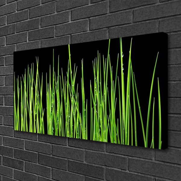 Quadro su tela L'erba La pianta 100x50 cm