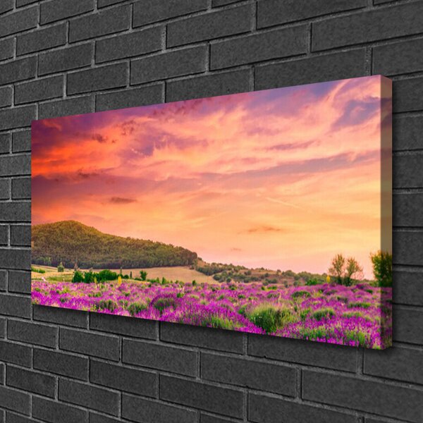 Quadro su tela Paesaggio di fiori di prato 100x50 cm