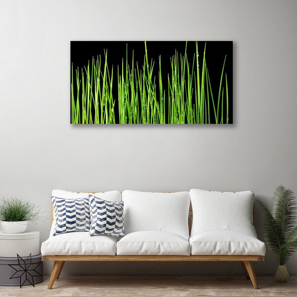 Quadro su tela L'erba La pianta 100x50 cm