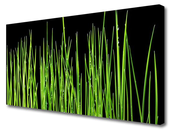 Quadro su tela L'erba La pianta 100x50 cm