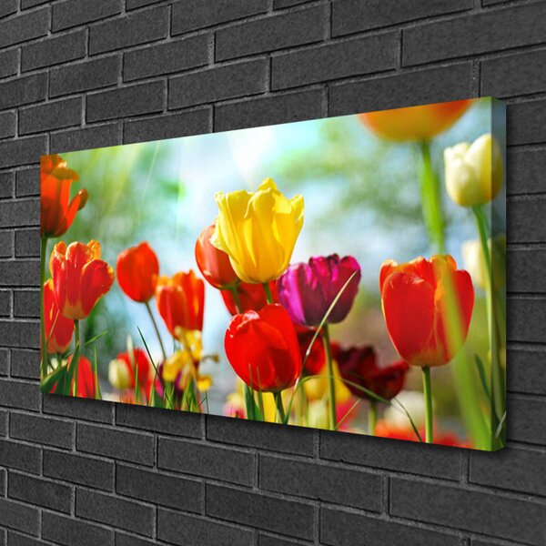 Quadro su tela Fiori Sul Muro 100x50 cm