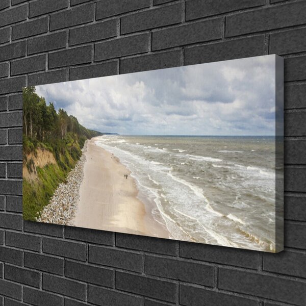 Quadro su tela Spiaggia, mare, albero, natura 100x50 cm