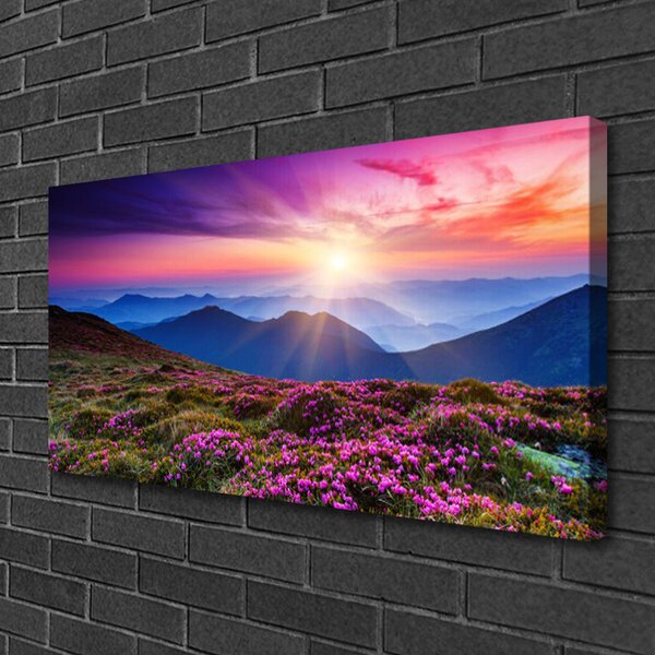 Stampa quadro su tela Montagne. Prato. Fiori. Paesaggio 100x50 cm