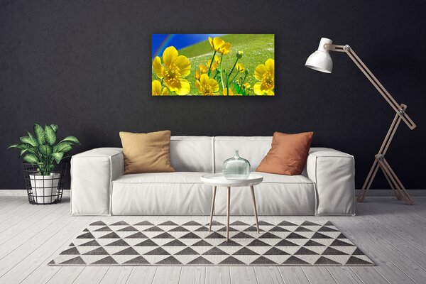 Quadro su tela Prato, fiori, arcobaleno, natura 100x50 cm