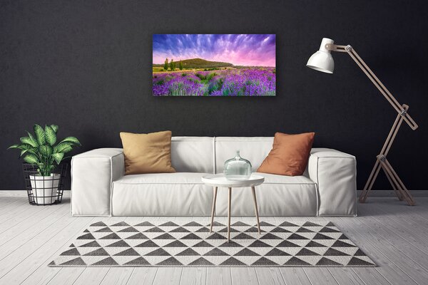 Quadro su tela Prato. Fiori. Montagna. Natura 100x50 cm