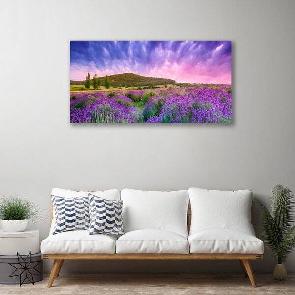 Quadro su tela Prato. Fiori. Montagna. Natura 100x50 cm
