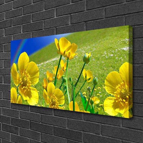 Quadro su tela Prato, fiori, arcobaleno, natura 100x50 cm