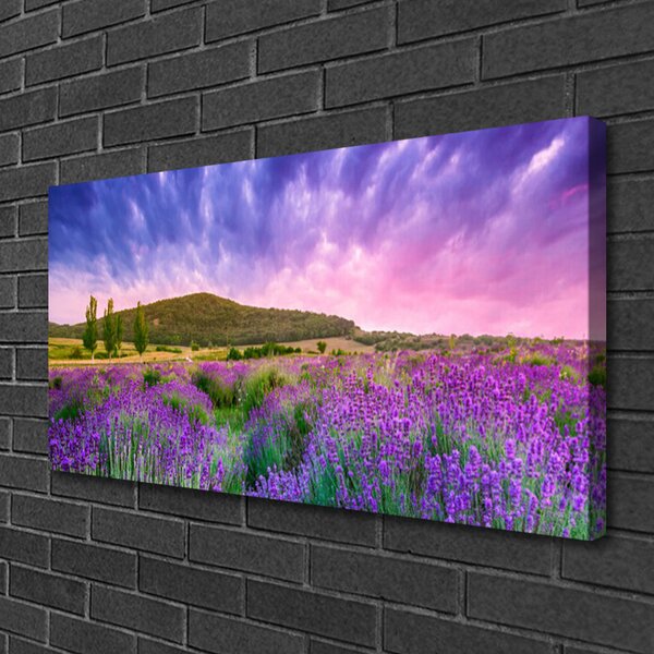 Quadro su tela Prato. Fiori. Montagna. Natura 100x50 cm
