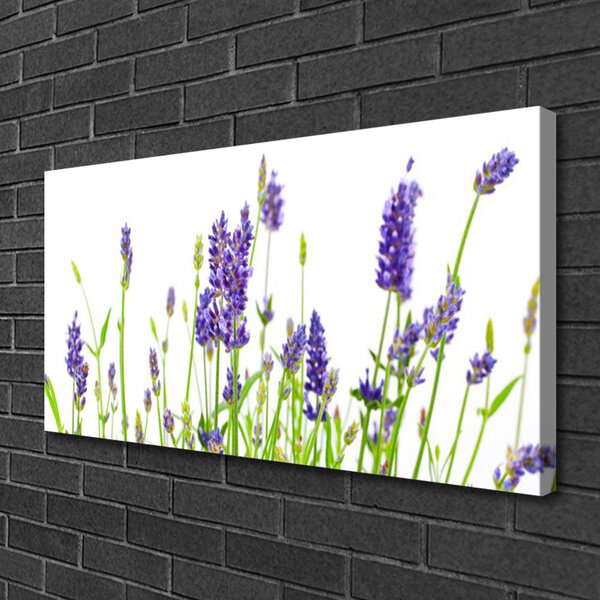 Quadro su tela Fiori Sul Muro 100x50 cm