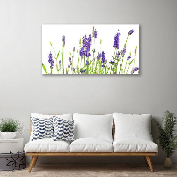 Quadro su tela Fiori Sul Muro 100x50 cm