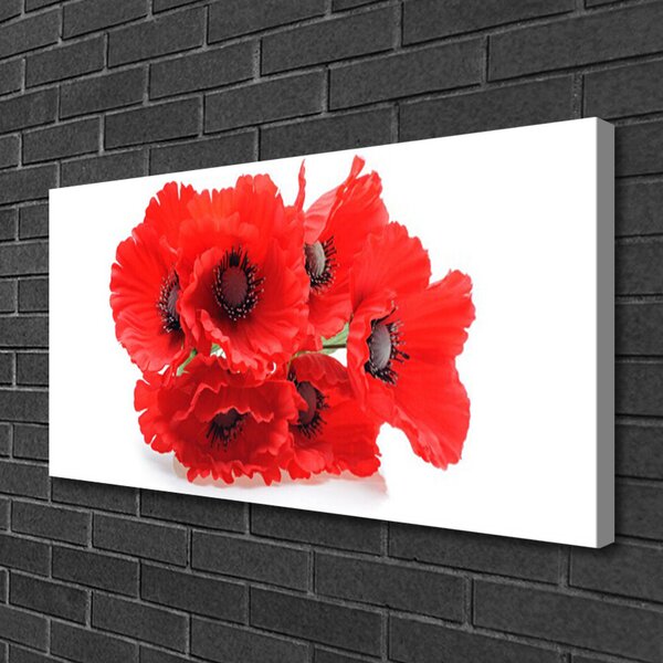 Stampa quadro su tela Fiori Sul Muro 100x50 cm